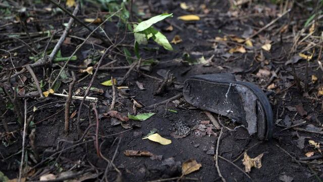Fosas halladas en la localidad del Arbolillo.