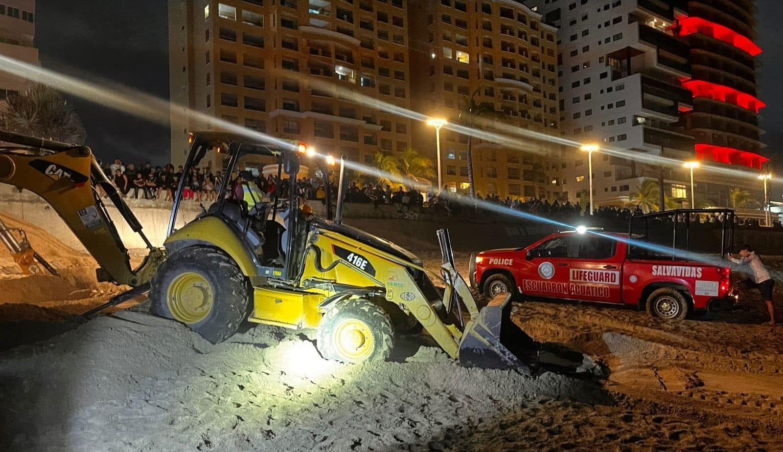 Ballena aparece muerta en playas de Mazatlán y turistas le hacen funeral