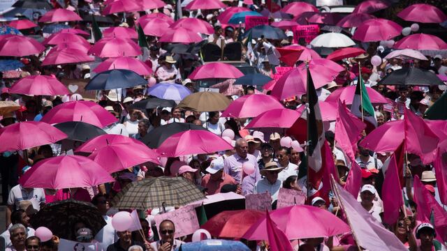 La Marea Rosa podría convertirse en un partido político