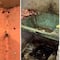 ¿Te animas a comer ahí? Restaurante en Bolivia fue clausurado por suciedad y plagas extremas