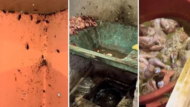 Restaurante en Bolivia fue clausurado por suciedad y plagas extremas