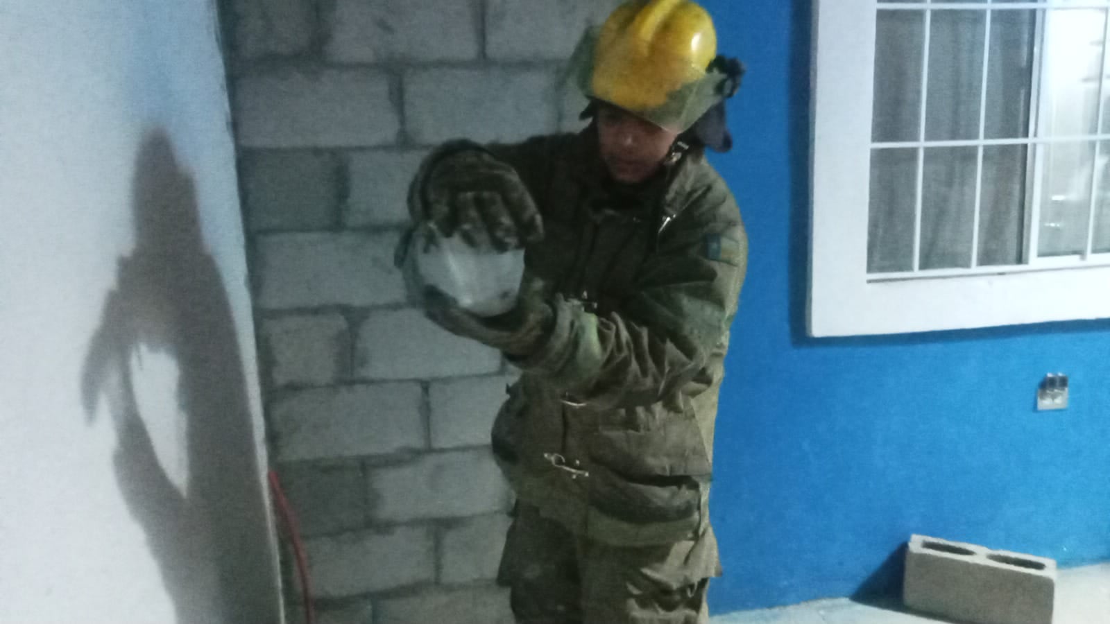 Torreón suma 222 rescates de animales durante 2026: Protección Civil.