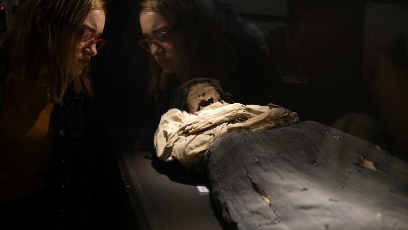 Museo de las Momias de Guanajuato: Una momia perdió un brazo y te decimos por qué deberías estar molesto