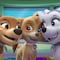 Dibujos de Skye y las cachorras de Paw Patrol: 8 plantillas para imprimir y colorear por el Día Internacional de la Niña