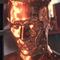 ¿Terminator de la vida real? Un robot se derrite para atravesar los barrotes