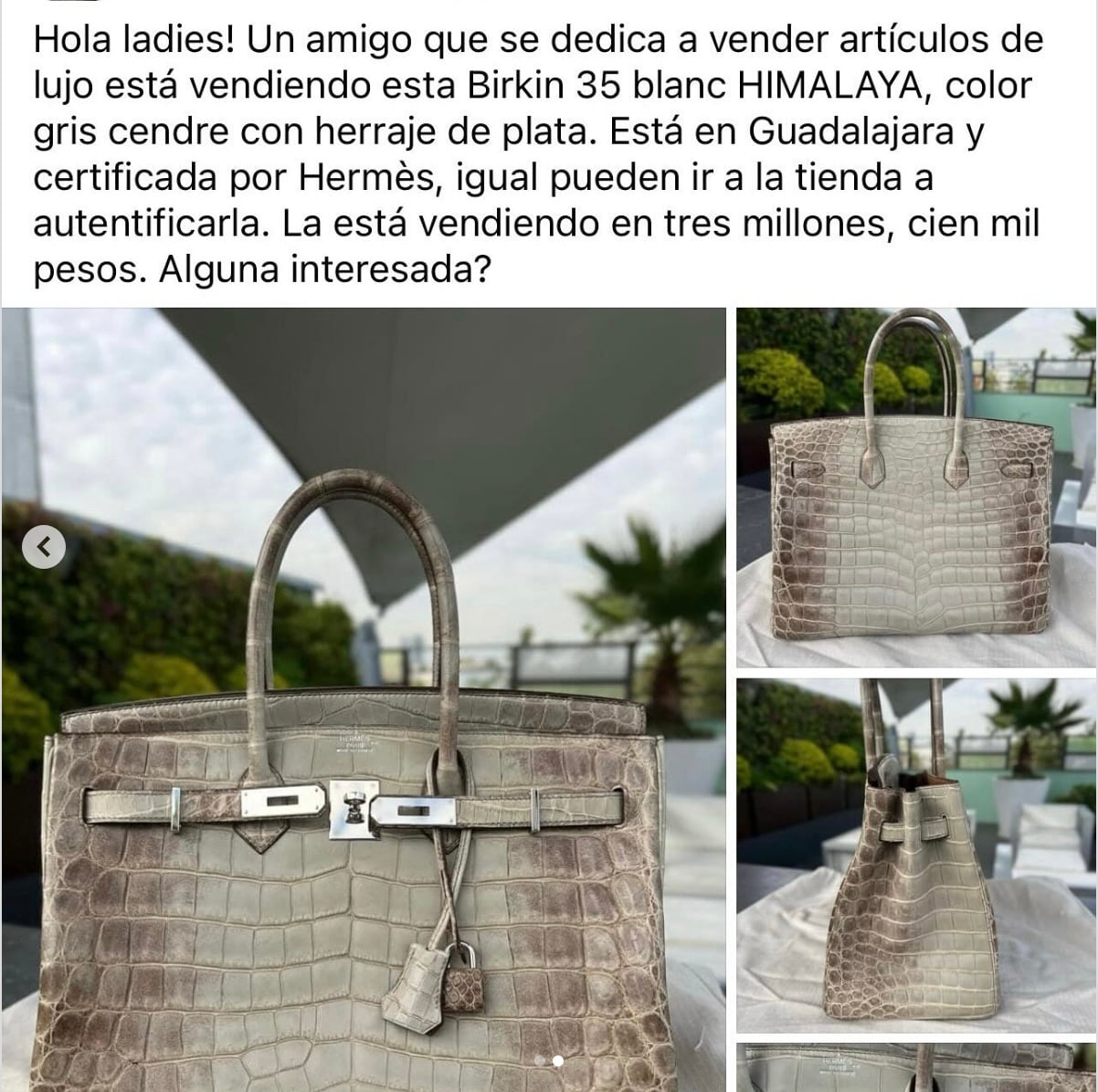 Señalan que Inés Gómez Mont vende bolsa Hermès en Internet