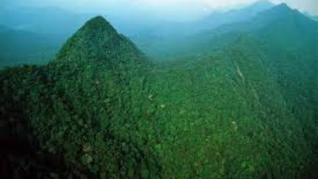 Los Chimalapas