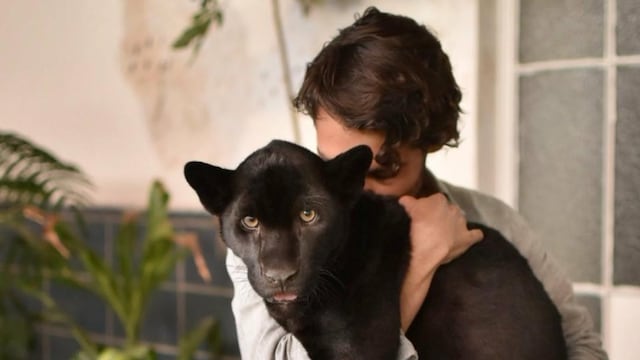 Esteban Fuentes de María