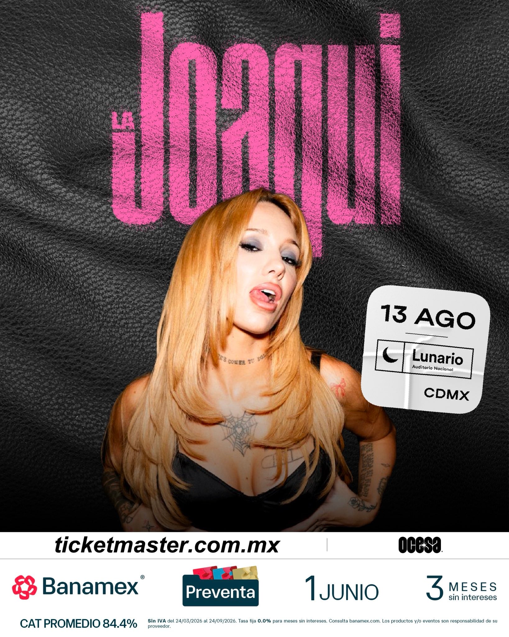 La Joaqui en concierto