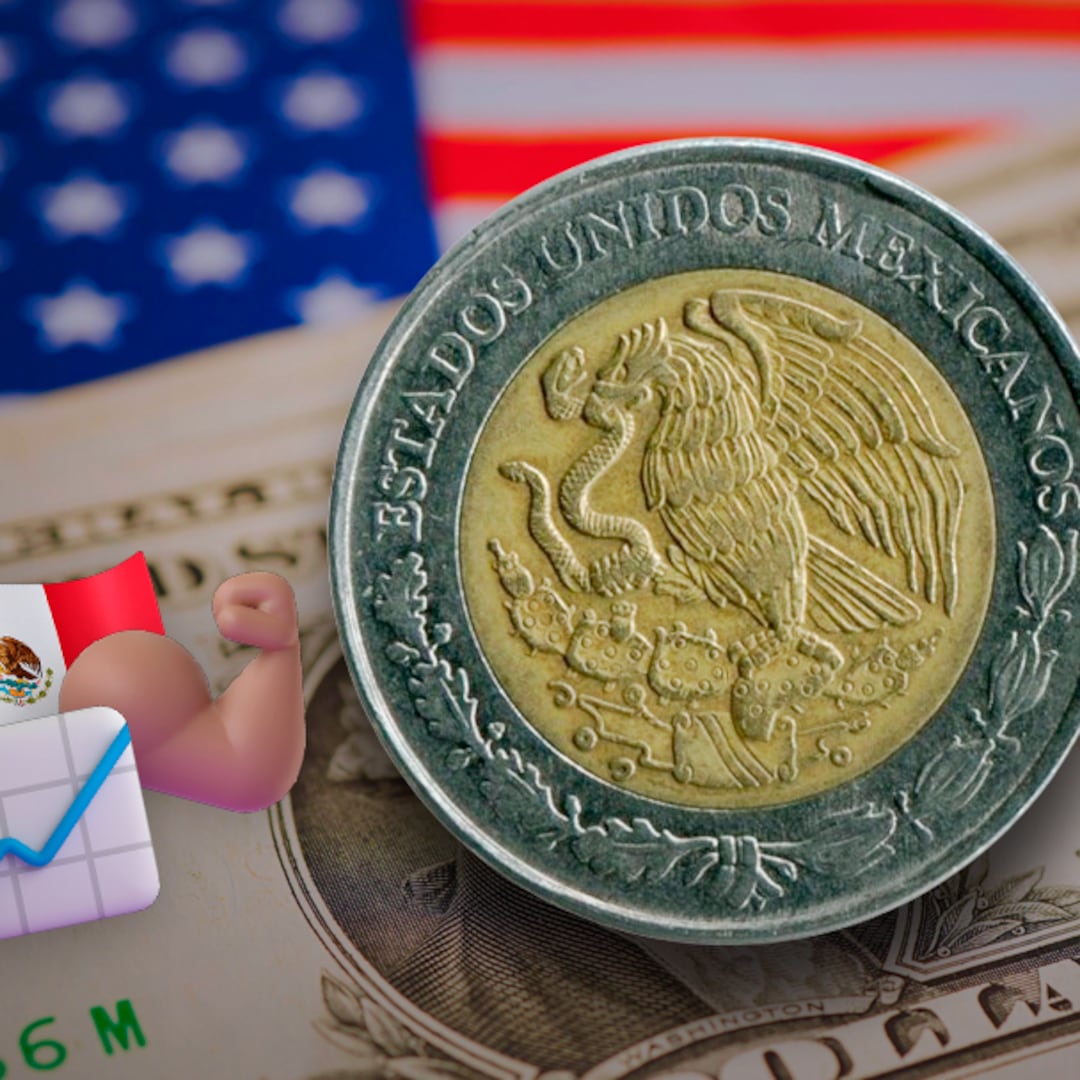 El peso sorprende: alcanza su mejor nivel frente al dólar desde julio de 2024