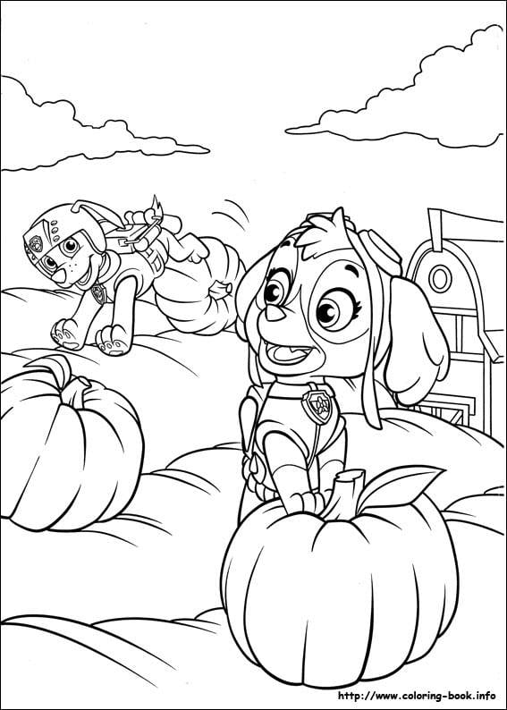 Imagen para imprimir y colorear de Skye de Paw Patrol