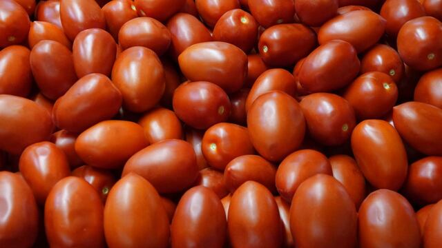 El Departamento de Comercio de Estados Unidos anunció este lunes que la mayoría de los tomates importados de México a Estados Unidos estarán sujetos a aranceles del 20,91%.