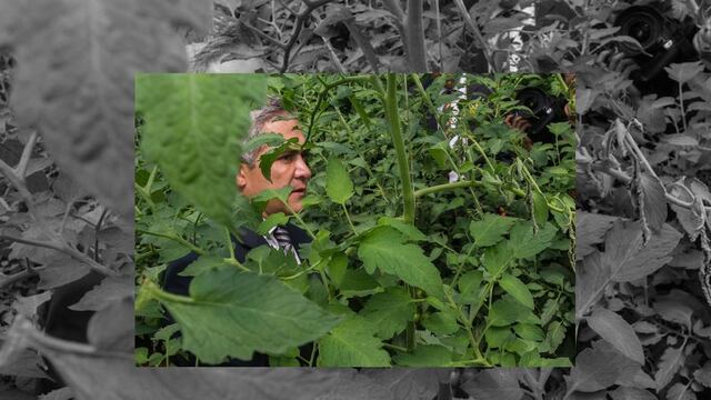 Mancera rechaza presencia del crimen organizado en el DF