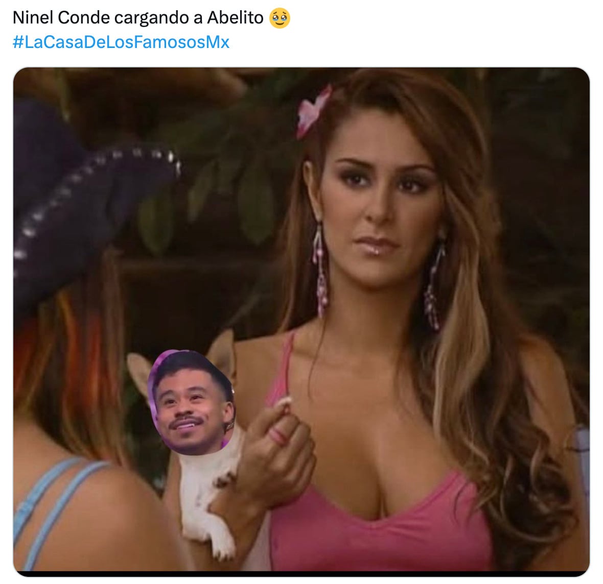 Ya hay shippeo entre Ninel Conde y El Abelito en La Casa de los Famosos México 2025