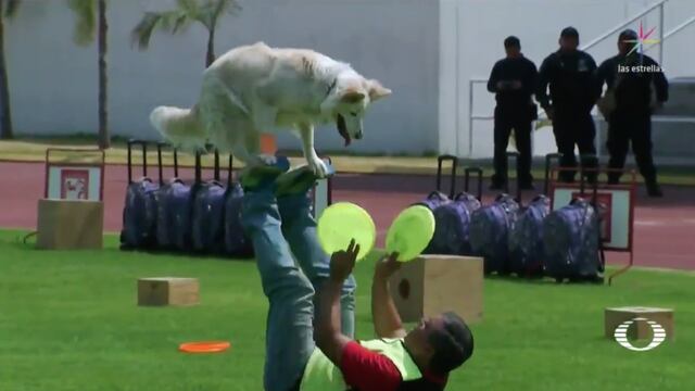 La Unidad Canina tiene 30 años funcionando