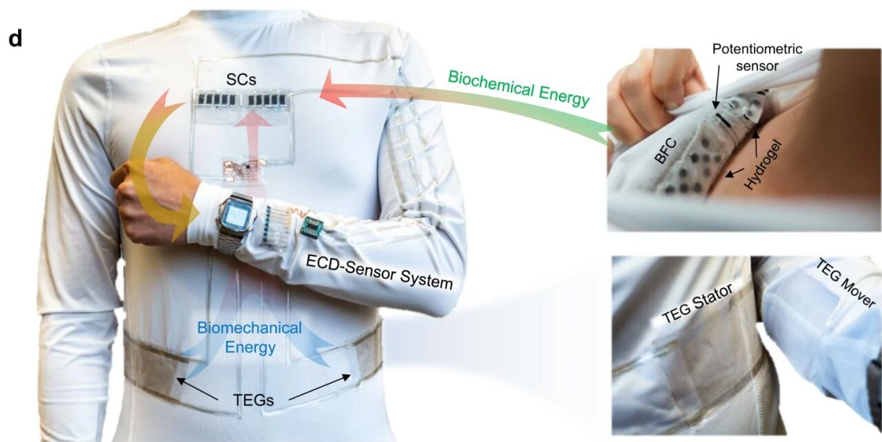 Camiseta con microrredes