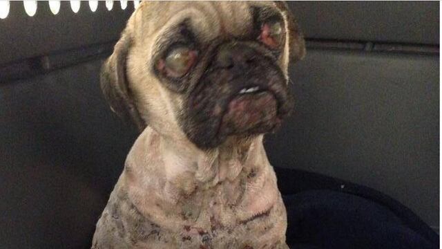 Los peligros de las redes sociales