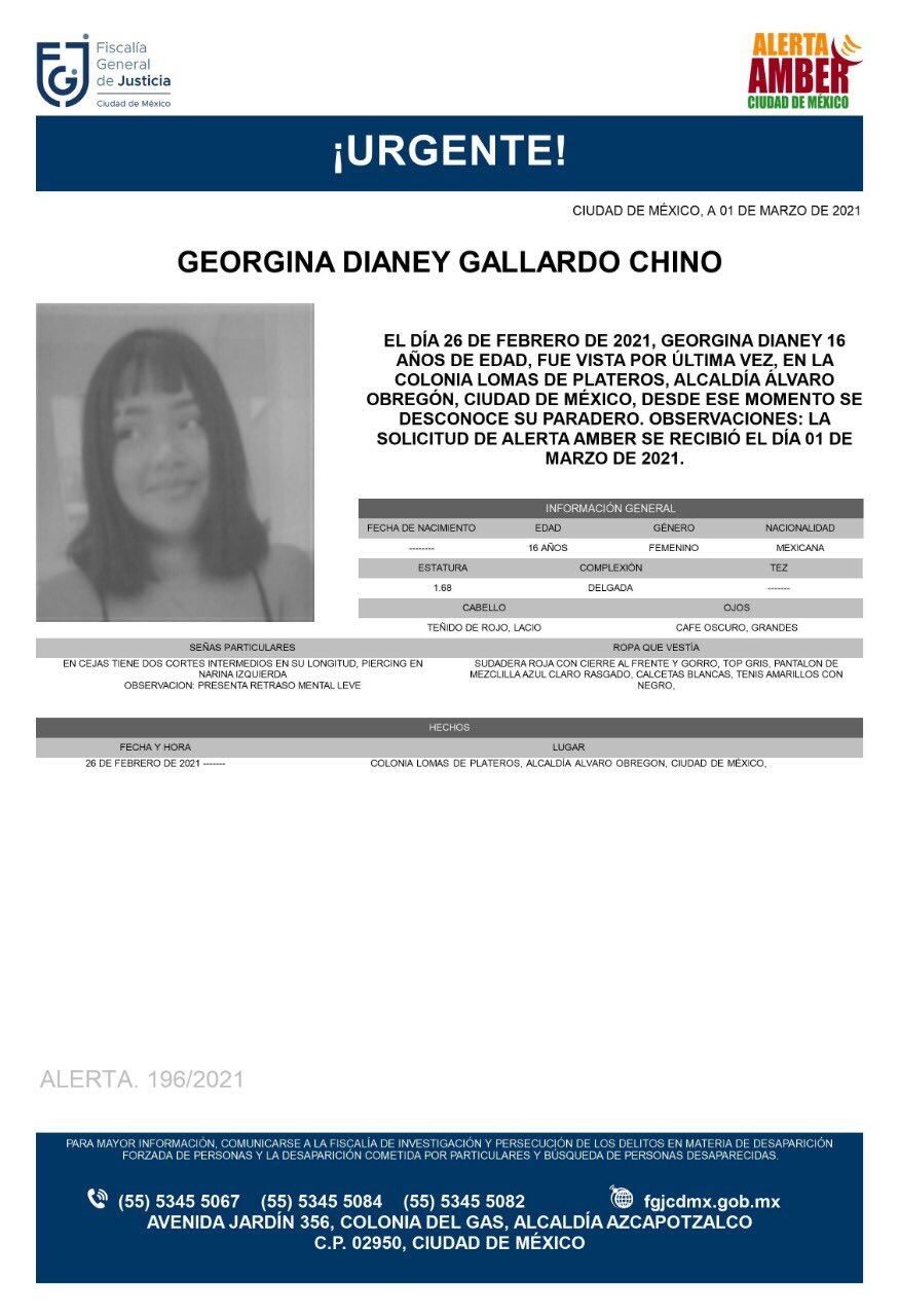 Ficha de búsqueda de Georgina