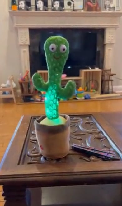 Cactus de juguete baila y canta… ¡Sobre drogas y suicidio!