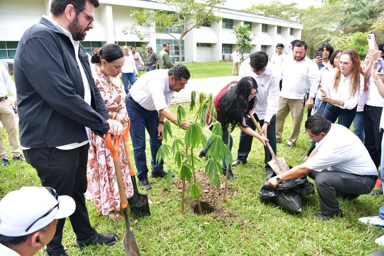 Tabasco fortalece infraestructura en Cárdenas con inversión histórica