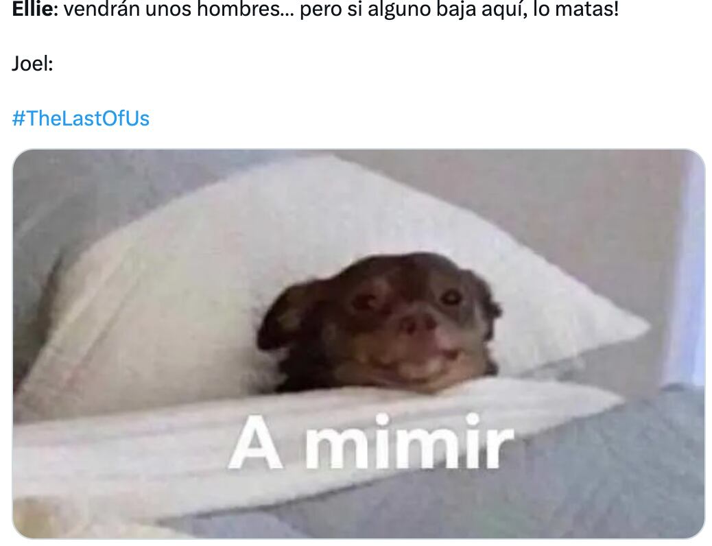 Memes lloran con Bella Ramsey el capítulo de The Last of Us