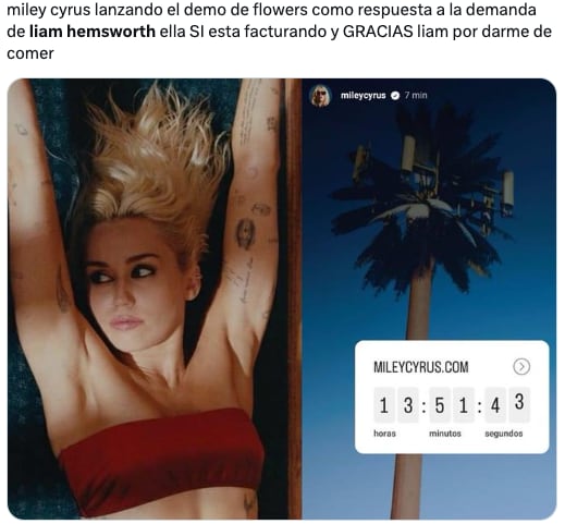 Memes destrozan a Liam Hemsworth por supuestamente demandar a Miley Cyrus