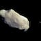 Asteroide PT5 no es una miniluna de la Tierra; científicos aclaran su origen ancestral
