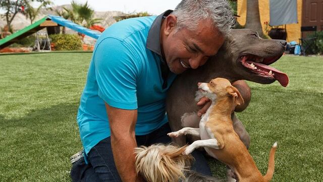 César Millán, apodado 'El encantador de perros'