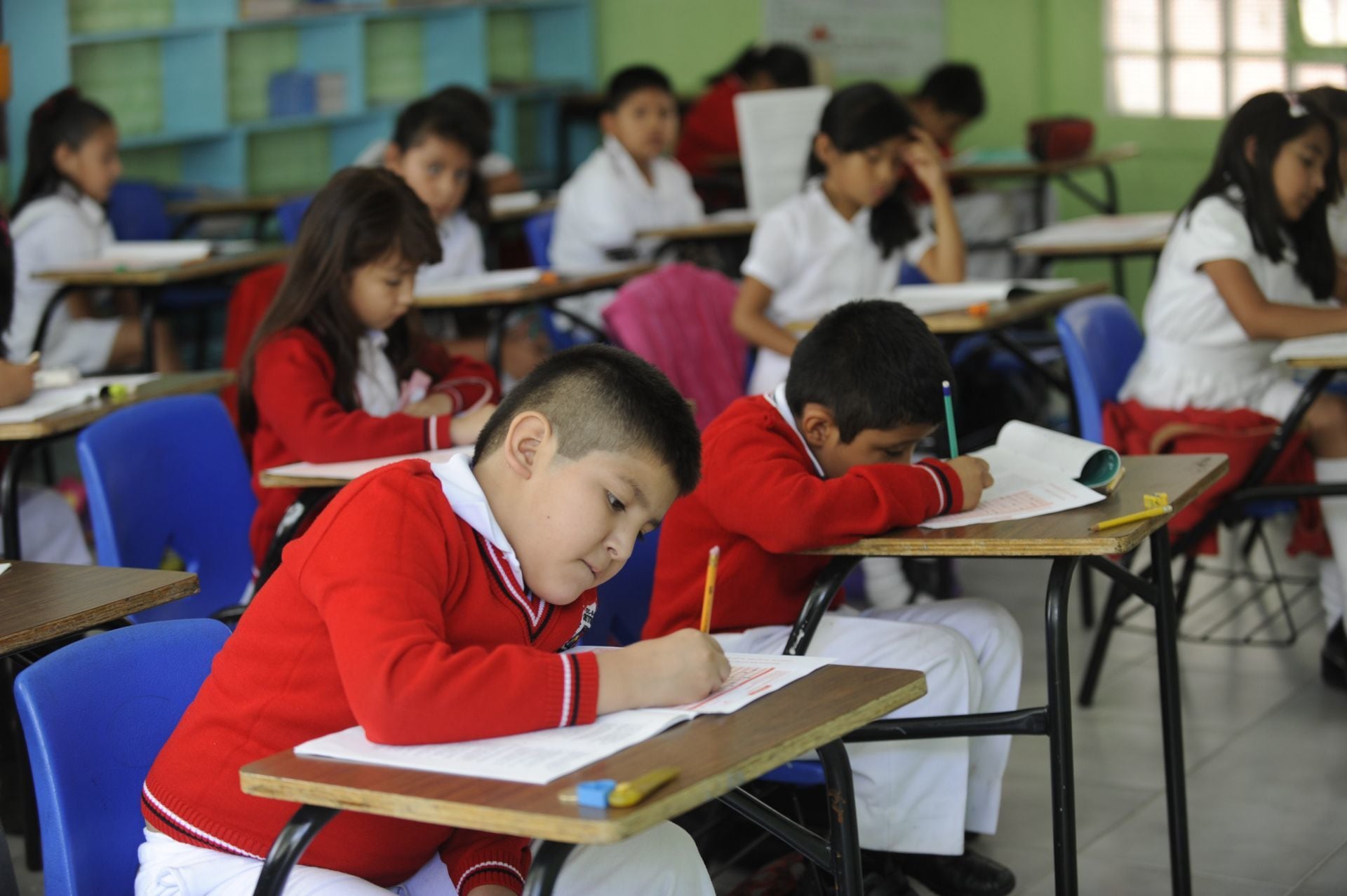 Estudiantes de nivel básico