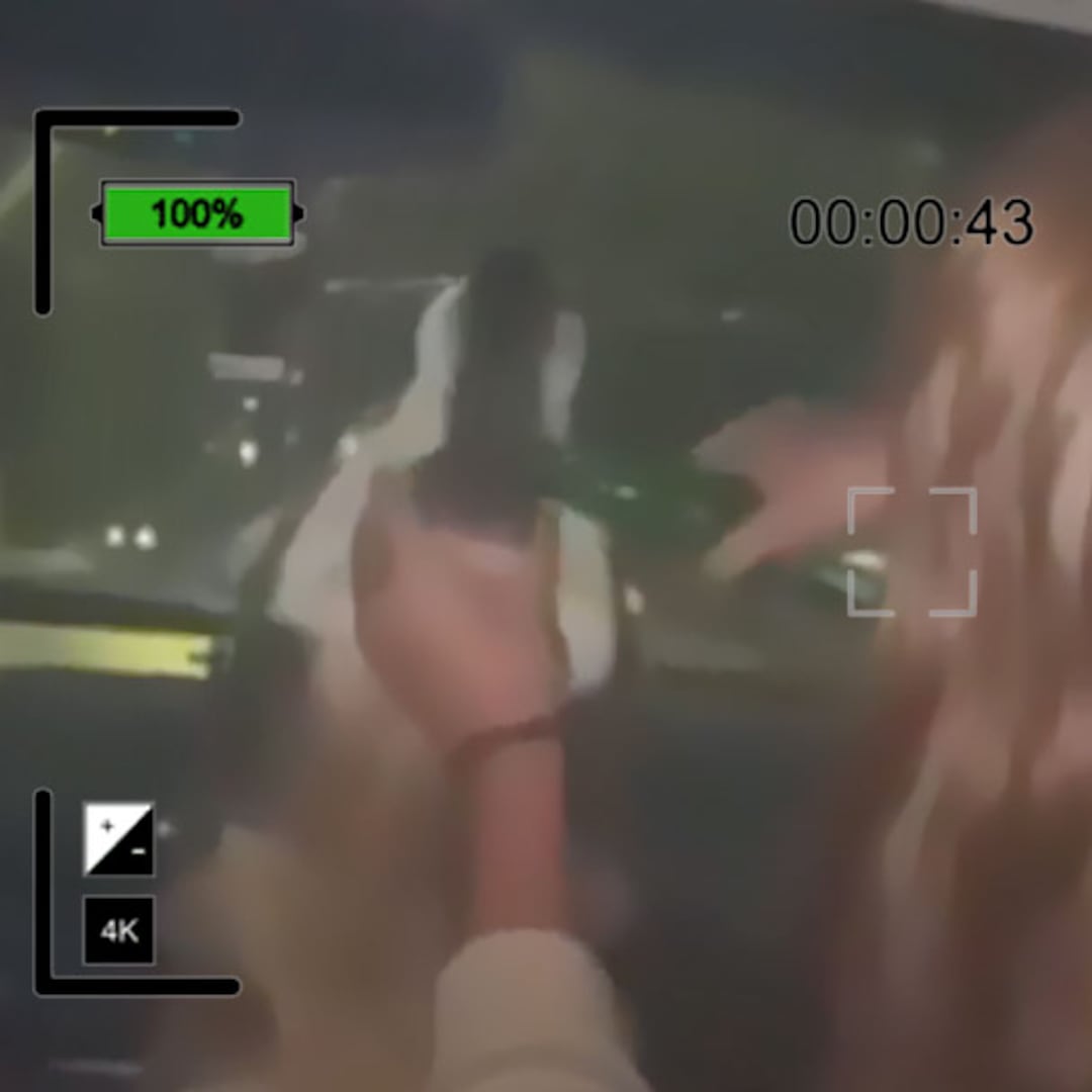 El video que causó furia en Chihuahua: jóvenes dan cerveza a una perra callejera