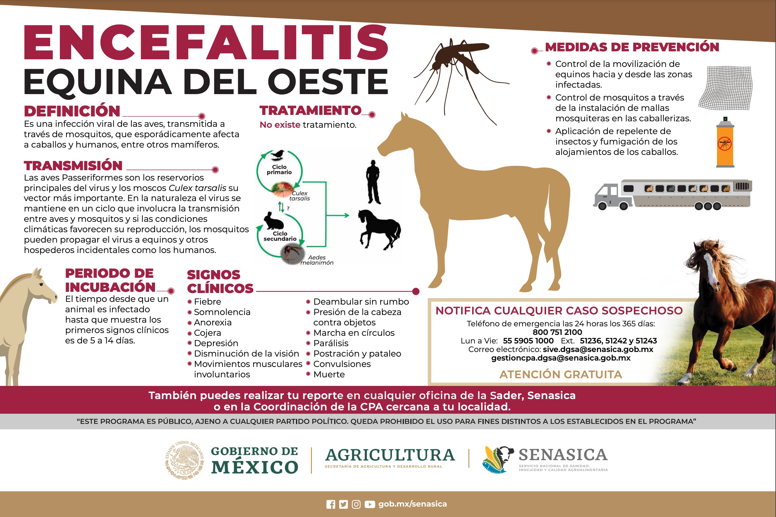 ¿Qué es la Encefalitis Equina del Oeste?