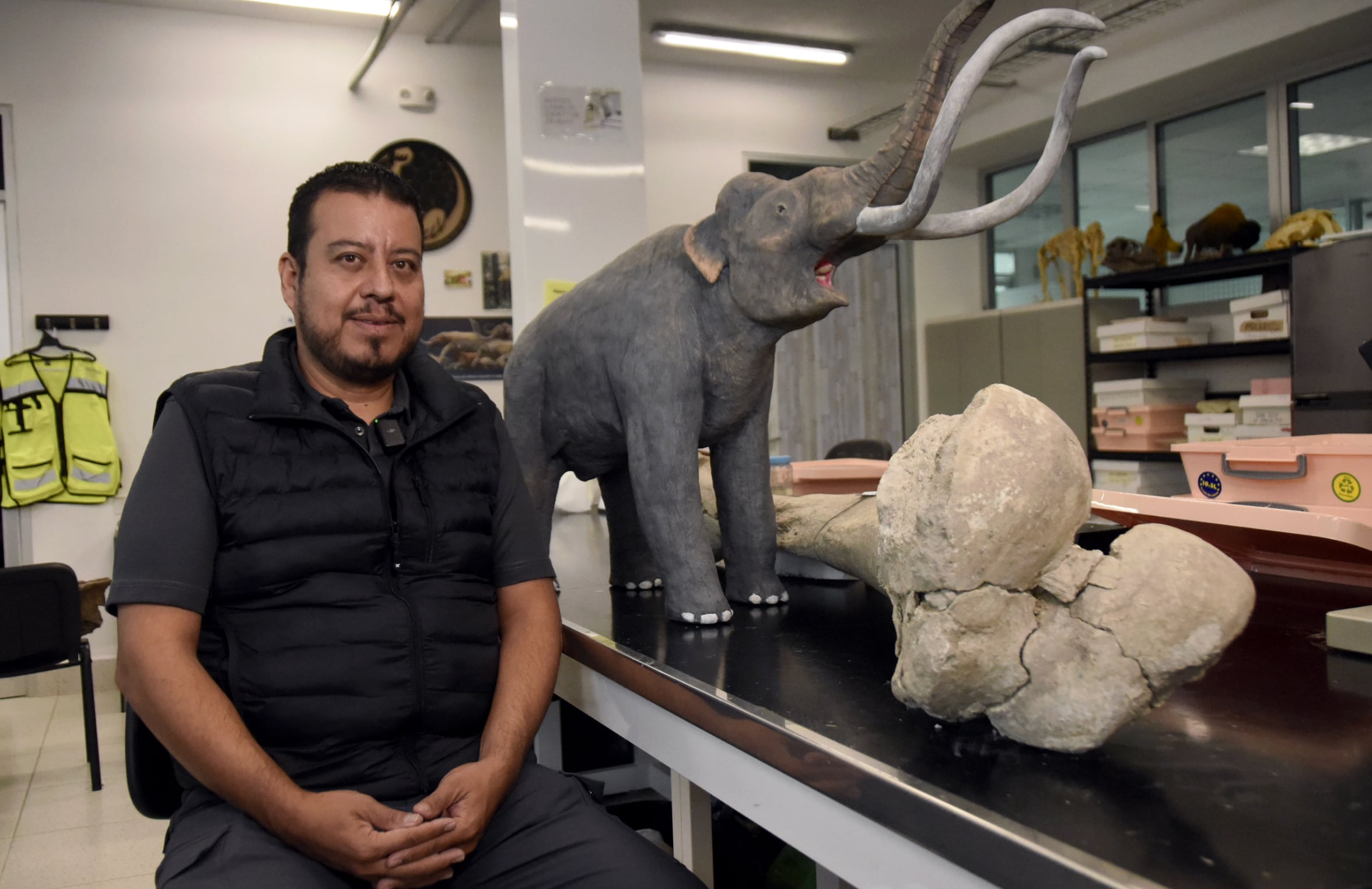 BUAP analiza fósiles marinos, mamuts y polen para reconstruir la historia natural