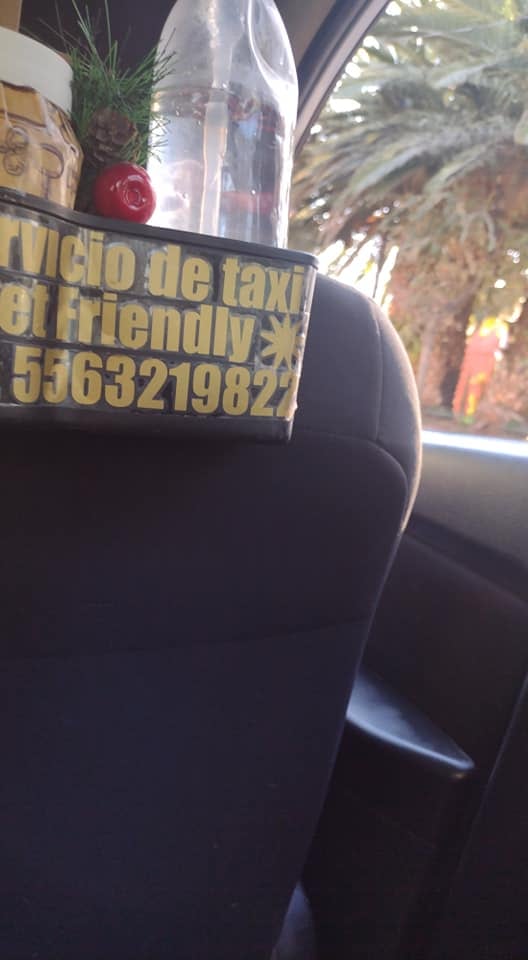 Señor ofrece viajes pet friendly en CDMX y Área Metropolitana