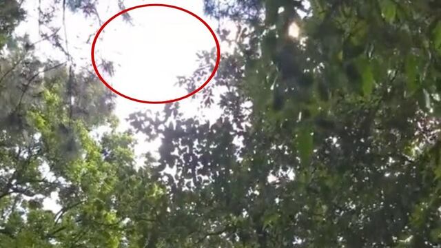 Video en TikTok sobre un OVNI en el cerro genera dudas