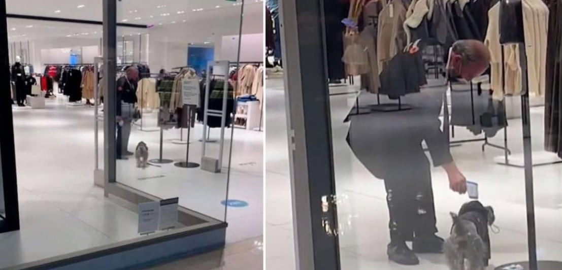 Vigilante le toma temperatura a perrito