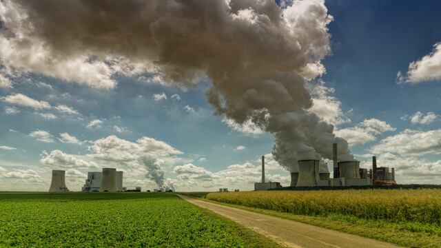 Comunidad Climática Mexicana presenta herramienta para estructurar proyectos