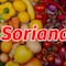 Martes y Miércoles del Campo Soriana 16 y 17 de enero 2024: Estas son las mejores ofertas