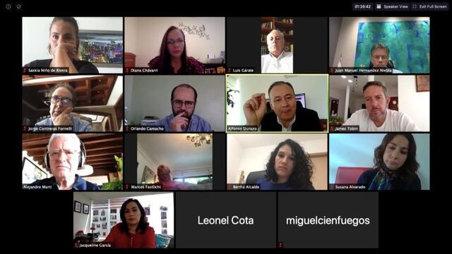 Reunión virtual del Consejo.