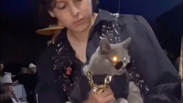 Gatito gótico en fiesta de XV años