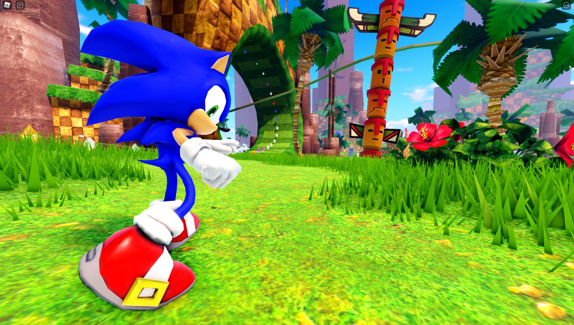 Sonic Speed Simulator