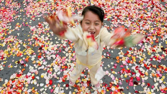 Feria del Derecho a Decidir en la CDMX en 2008