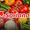 Martes y Miércoles del Campo Soriana 27 y 28 de agosto 2024: Estas son las mejores ofertas