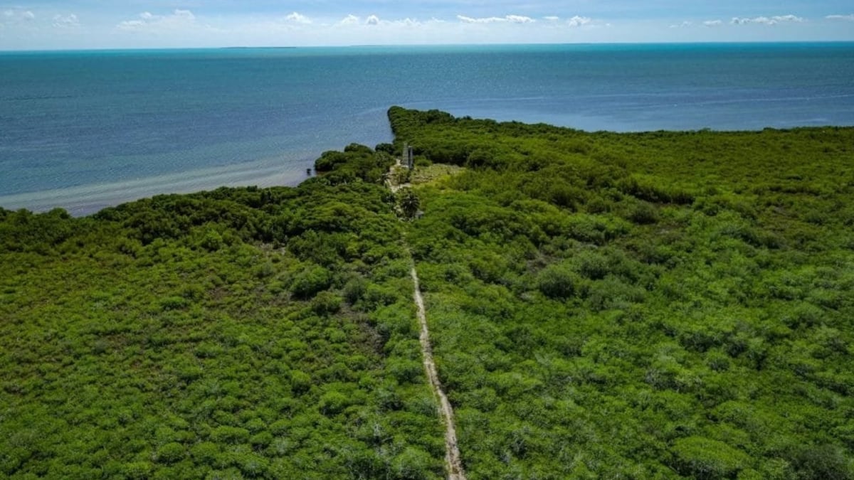 Puerta al Mar, el proyecto turístico en Quintana Roo que activistas quieren frenar por impacto ambiental