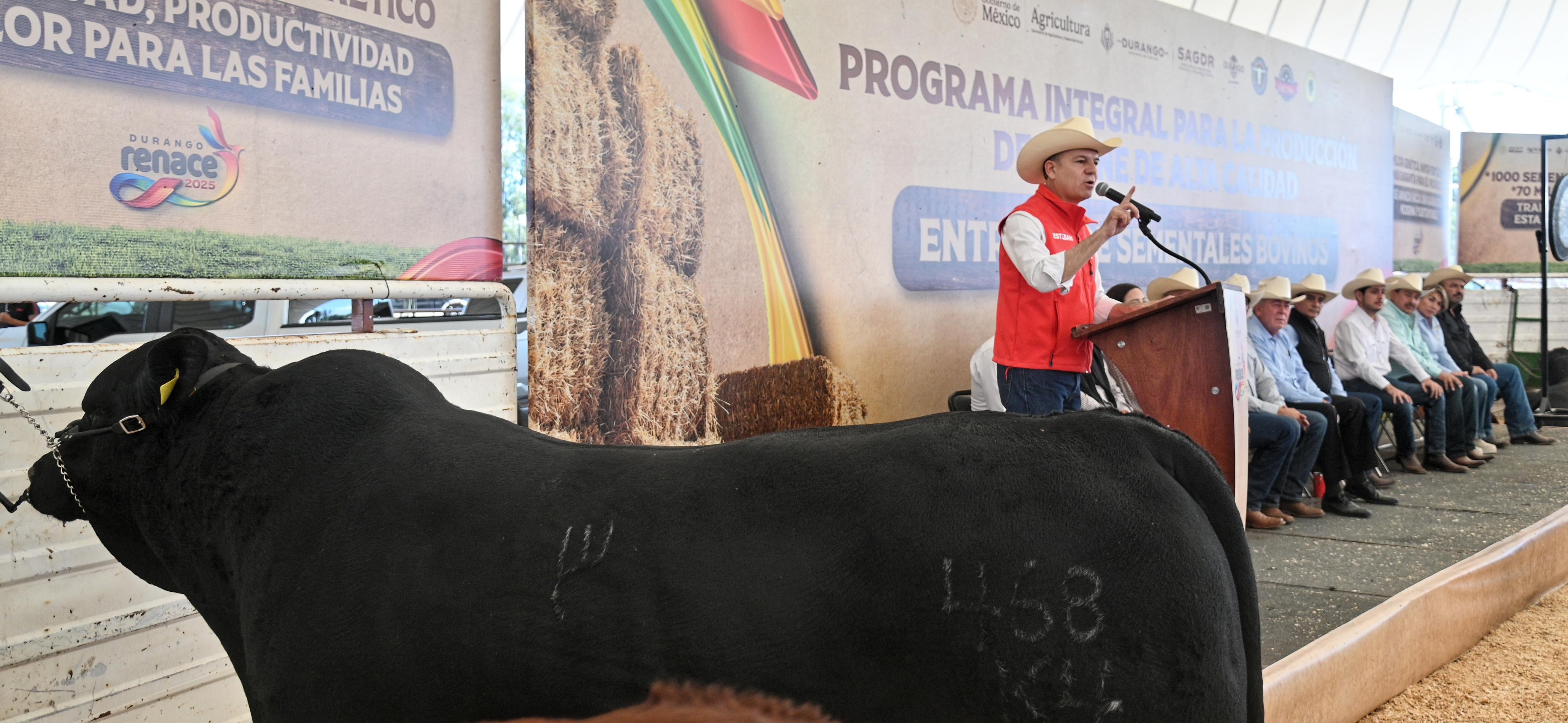 Durango impulsa la ganadería con calidad de exportación y bienestar para las familias del campo