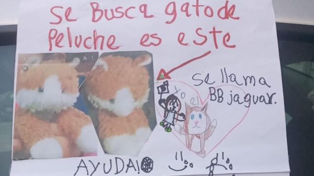 Niña ofrece recompensa por su muñeco de peluche