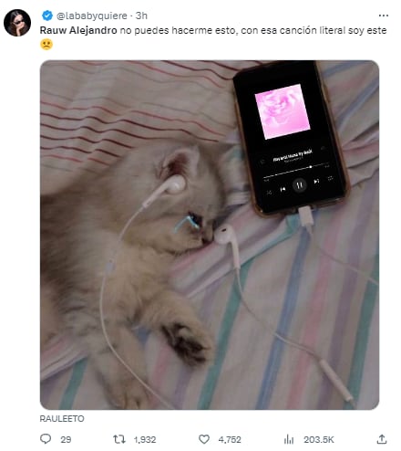 Memes por la canción que Rauw Alejandro dedicó a Rosalía