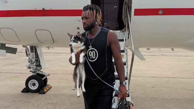 Historial de lesiones de Allan Saint-Maximin en su última temporada.