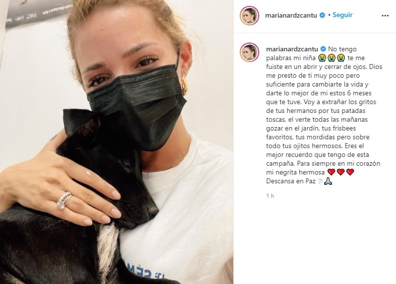 Muere perrita de Mariana Rodríguez
