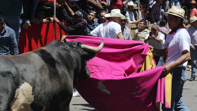 Caen asistencia a corridas de toros en España.