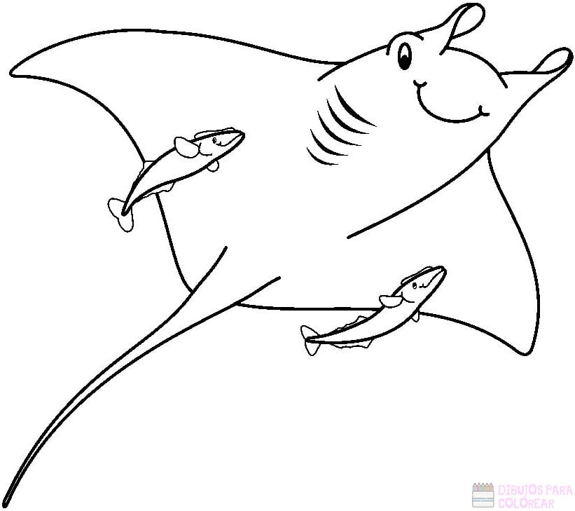 Día de la Mantarraya